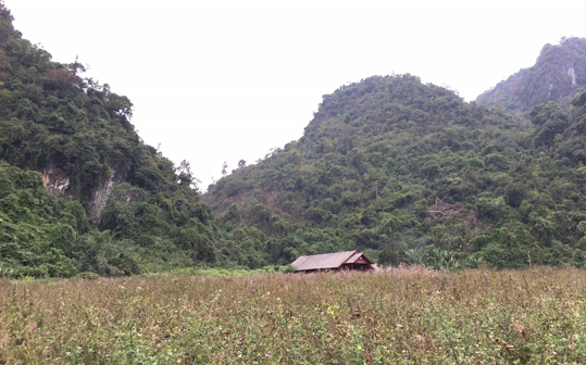 VIETNAM From the Field